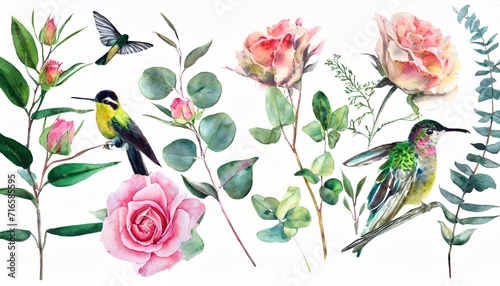 Fotografie, Obraz botanic watercolor set with flowers and birds leaves eucalyptus pink roses butte