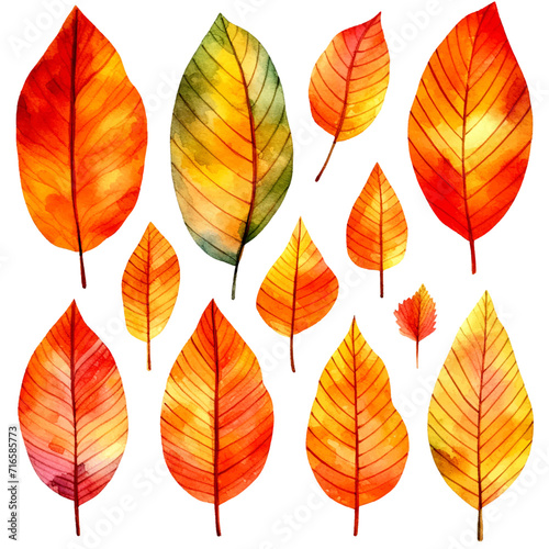 set of leaves watercolor