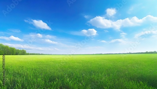 zielone pole i błękitne niebo