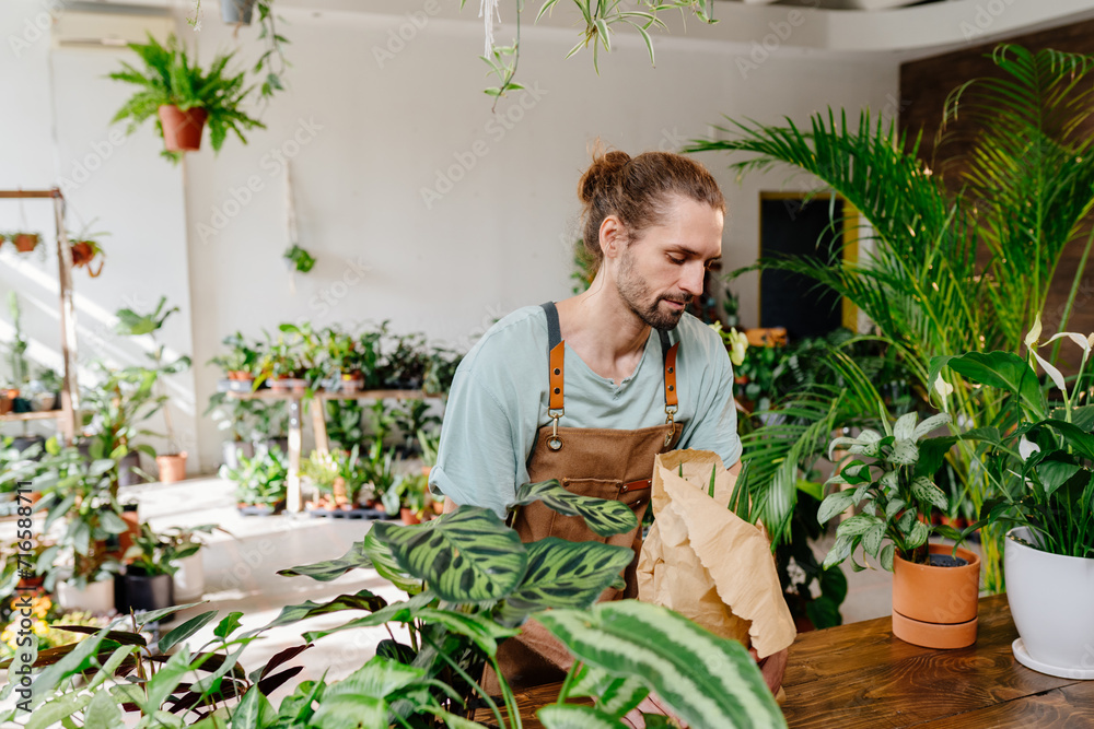 Handsome man wearing apron wrapping a potted plant in paper. Handsome man wearing apron wrapping a potted plant in paper.
