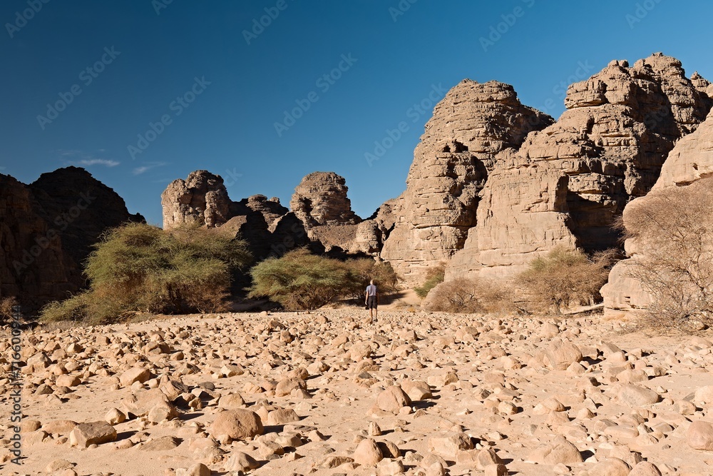 Rock formations at Guelta Tikoubaouine in the tourist area of Immourouden, near the town of Djanet. Tassili n Ajjer National Park. Sahara desert. Algeria. Africa.