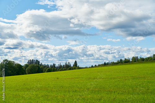 Green field or meadow in summer with blue sky and white clouds
