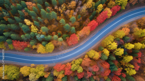 autumn landscape, road through the forest aerial view of a multicolored autumn forest, view from a drone. abstract nature scene