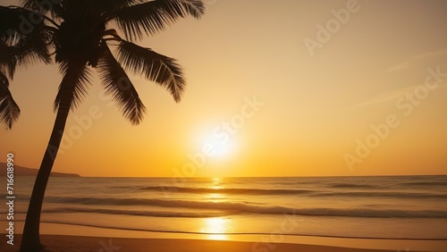 a sandy beach on the ocean shore against the silhouette of a palm tree in the rays of the setting sun. The concept of holidays in warm countries during the holidays
