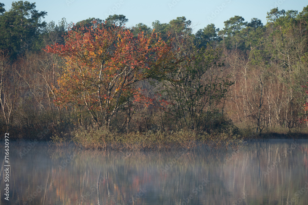 Colorful reflection of trees along a lake in East Texas. Colorful reflection of trees along a lake in East Texas.