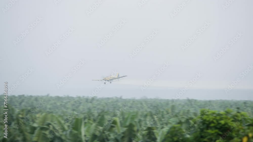 A Low-Flying Airplane Spraying A Pesticide Over The Trees Of A Banana A Low-Flying Airplane Spraying A Pesticide Over The Trees Of A Banana