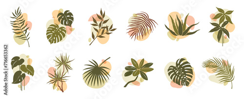 Abstract organic boho leaf and plant shapes. Isolated vector set of lush foliage, palm trees or monstera decorative elements, embracing a boho-chic aesthetic, evoke natural vibe in bohemian style