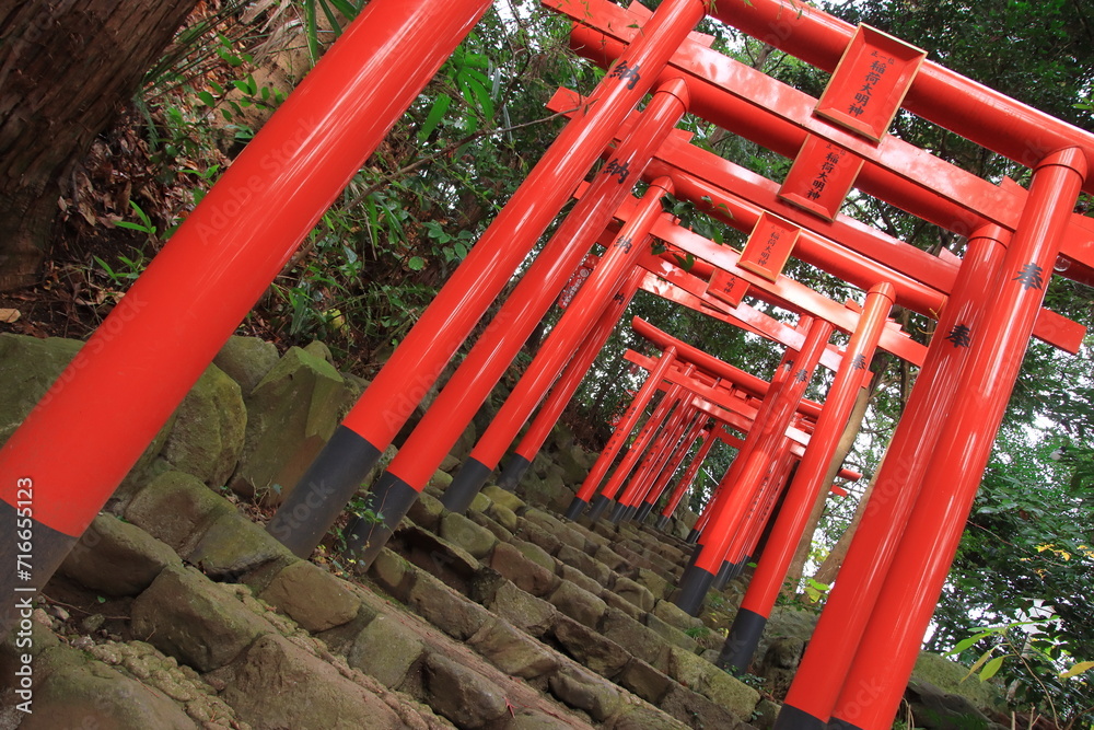 【神奈川県秦野市】白笹稲荷神社の千本鳥居