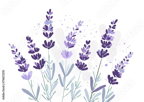 Lavendel duft