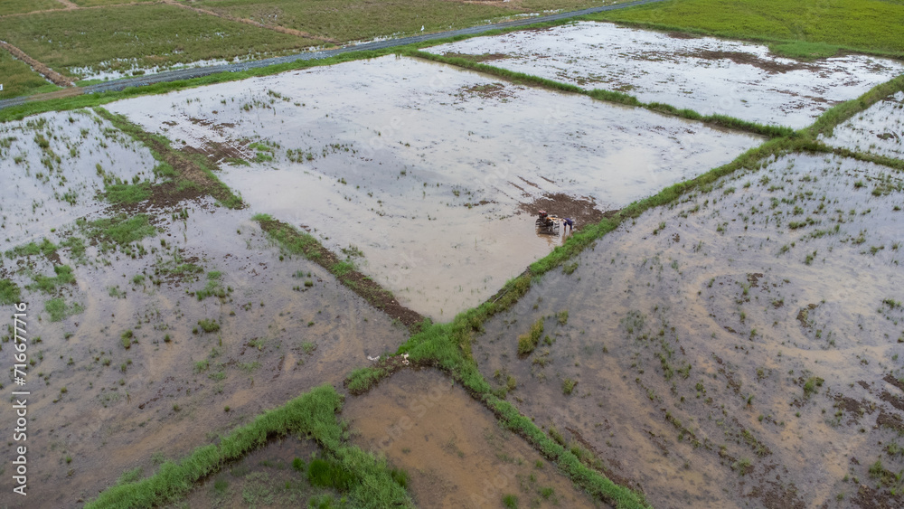 Aerial view of farmers plowing rice fields using a machine