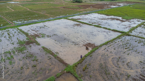 Wallpaper Mural Aerial view of farmers plowing rice fields using a machine Torontodigital.ca