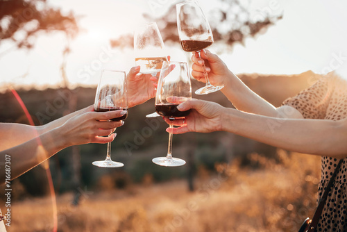 Photography Friends clinking glasses with wine during picnic