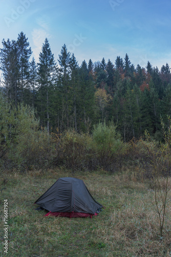 A solitary tent nestled in a serene forest clearing