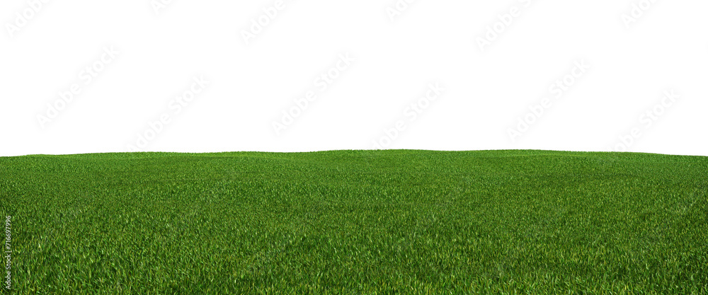 Field of grass on transparent background. 3D rendering - obrazy, fototapety, plakaty 