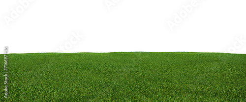 Field of grass on transparent background. 3D rendering photo