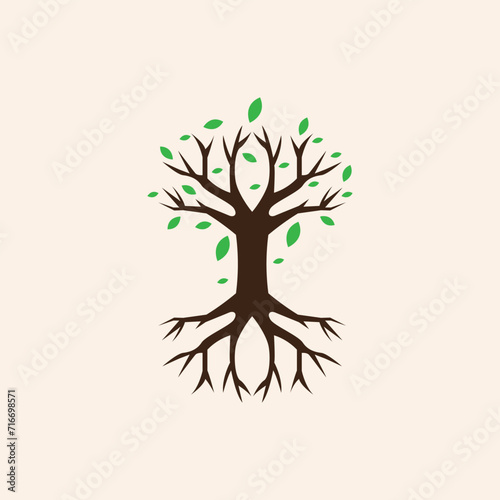  tree vectors. Forest and nature concept. Collection of different tree symbols. Education and training poster design.