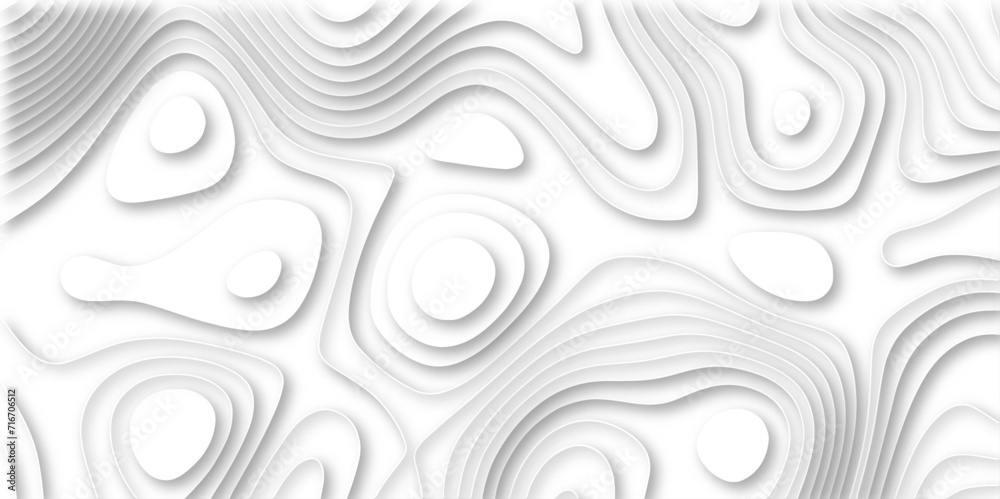 : white paper and relief wave and cruve line paper cut background. soft white color seamless pattern, vector illustration, multi layer cutout banner design. topo counter map in 3d view. : white paper and relief wave and cruve line paper cut background. soft white color seamless pattern, vector illustration, multi layer cutout banner design. topo counter map in 3d view.