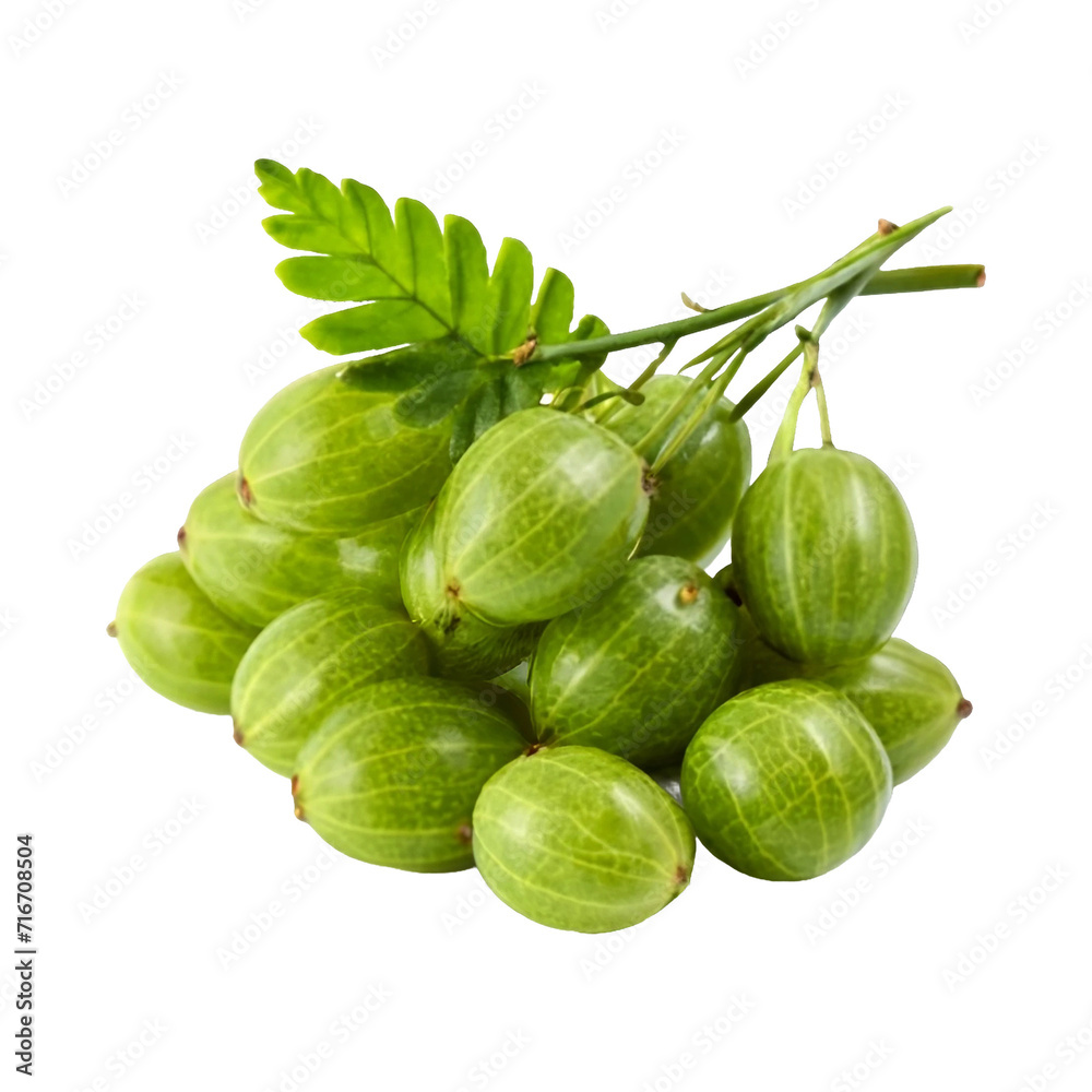 Fresh Amla Indian gooseberry fruits with leaves isolated transparent background Ai generative. Fresh Amla Indian gooseberry fruits with leaves isolated transparent background Ai generative.