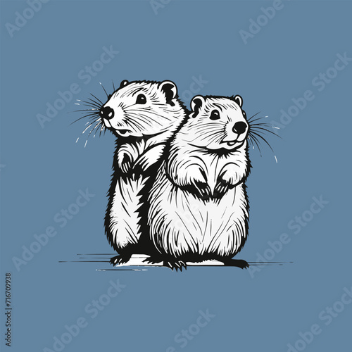 vector of groundhog