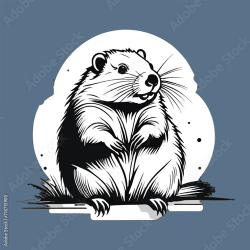 vector of groundhog