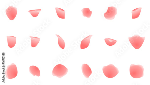 rose petals soft pink vector. flat design vector illustration isolated on white background.