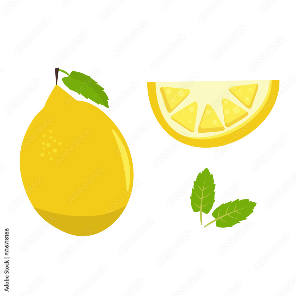 Lemon fruit elements vector Lemon fruit elements vector