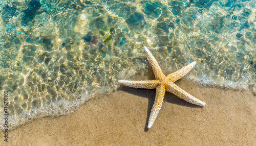 Starfish on the sand beach in clear sea water. Summer background photo