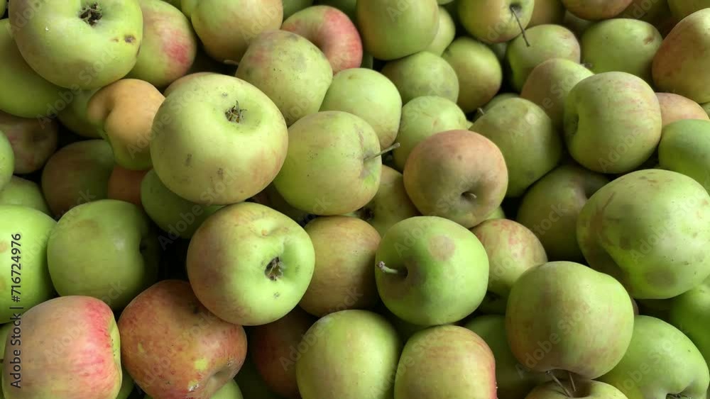 4k video of group of green apples in a local market. Food and fruit concept. 4k video of group of green apples in a local market. Food and fruit concept.