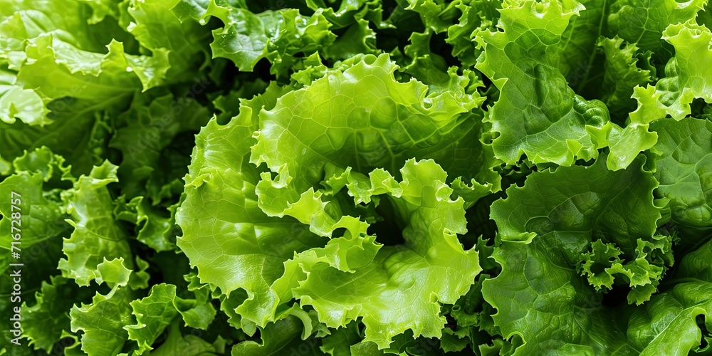 Green fresh vegetables, lettuce leaves, healthy balanced diet, peas, cabbage, peppers, background.