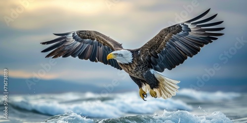 Eagle flying above the sky