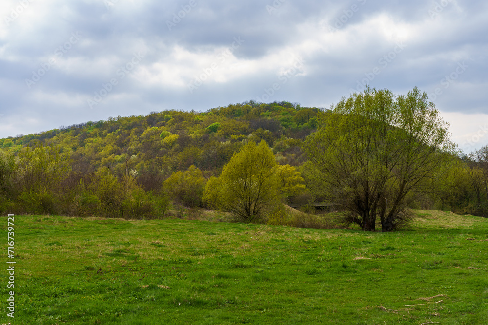 Green glade. Background with selective focus and copy space Green glade. Background with selective focus and copy space