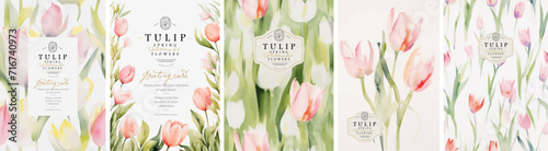 Tulips. Spring flowers. Watercolor delicate simple minimalistic illustration of floral seamless pattern, frame, border, leaves, logo for abstract greeting card, wedding invitation or background