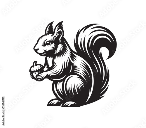 Nut Squirrel Vector