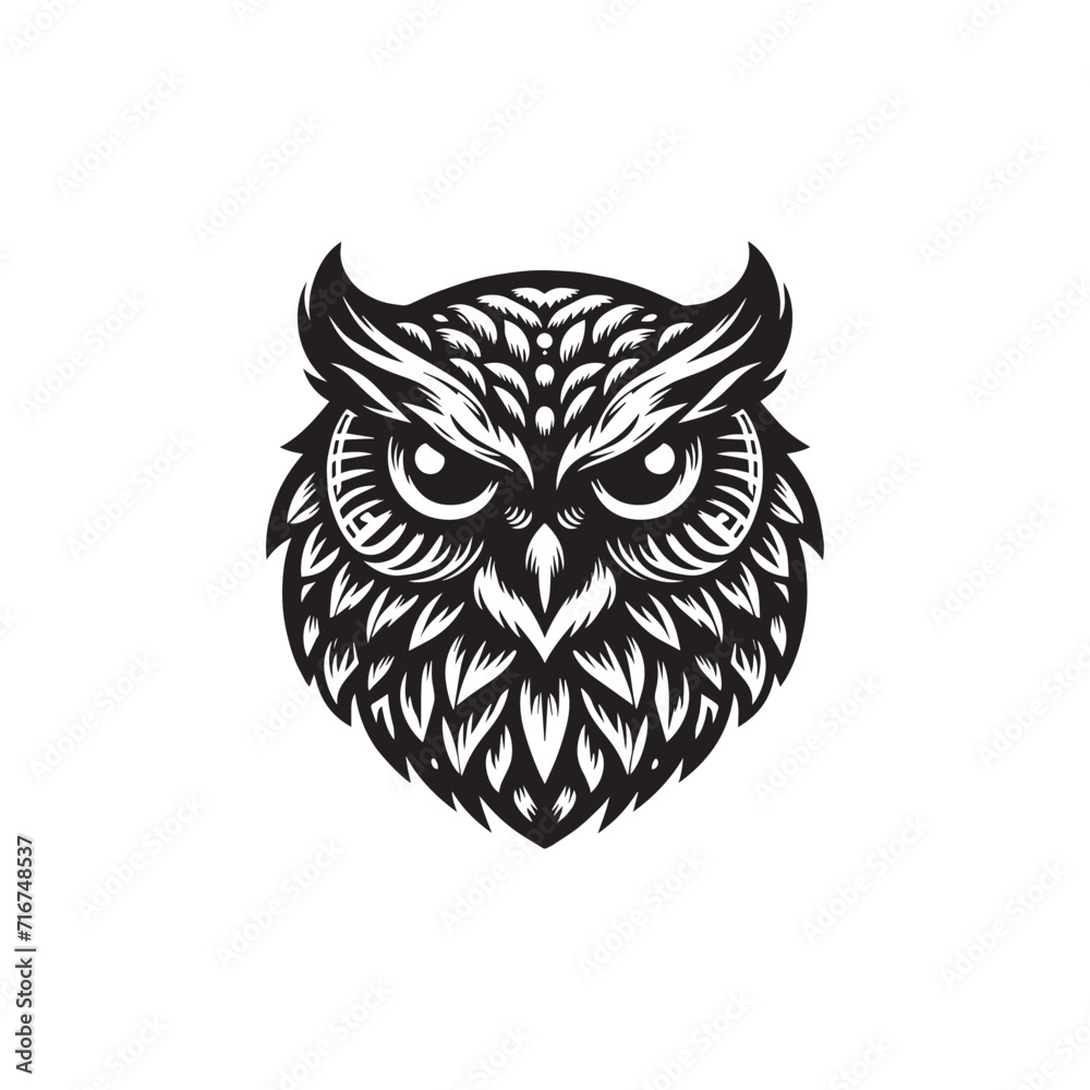 Fototapeta premium owl on white background