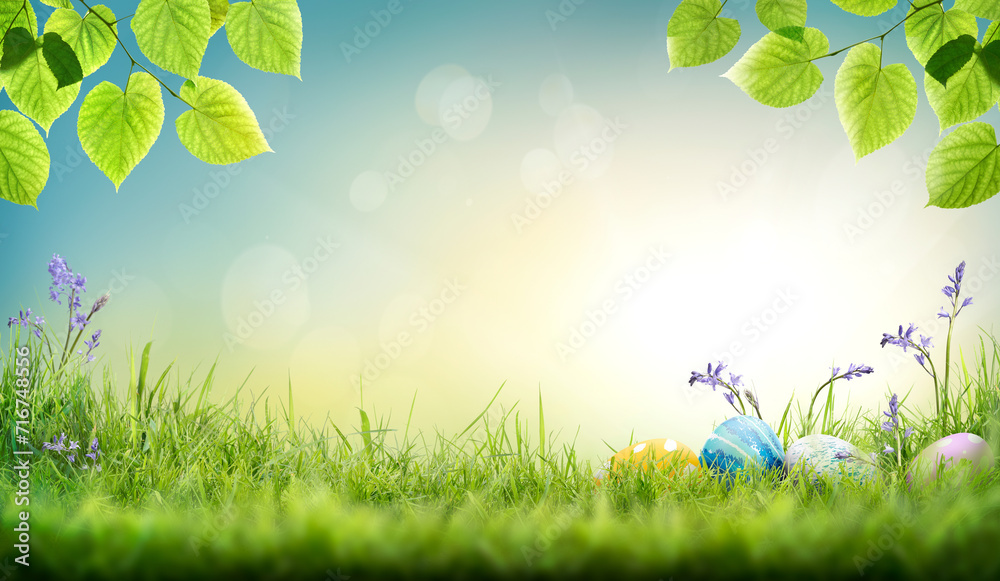 Three painted easter eggs in a birds nest celebrating a Happy Easter on a spring day with a green grass meadow, tree leaves and blurred grass foreground and bright sunlight background with copy space.