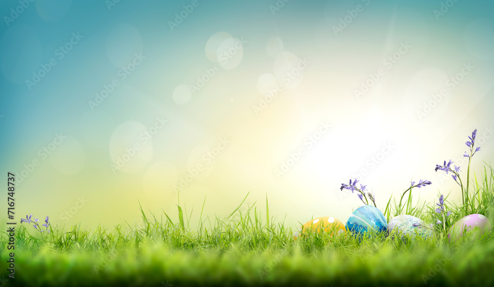 Painted easter eggs in the grass and bluebells celebrating a Happy Easter on a spring day with a green grass meadow and blurred grass foreground and bright sunlight background with copy space.