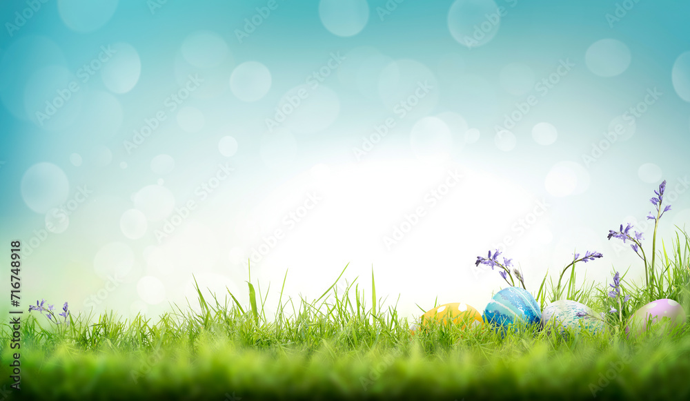 Painted easter eggs in the grass and bluebells celebrating a Happy Easter on a spring day with a green grass meadow and blurred grass foreground and bright blue sunlight background with copy space.