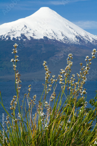 Vulkan Osorno und Lago Llanquihue, Puerto Octay, Seengebiet, Chile, Südamerika