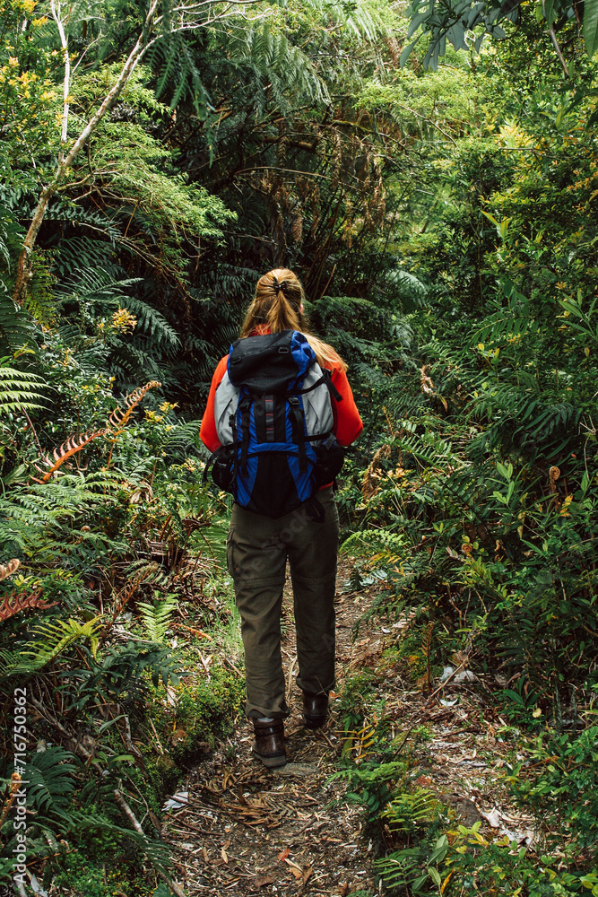 Frau bei Wanderung im Regenwald, Nationalpark Pumalin, Chile, Südamerika