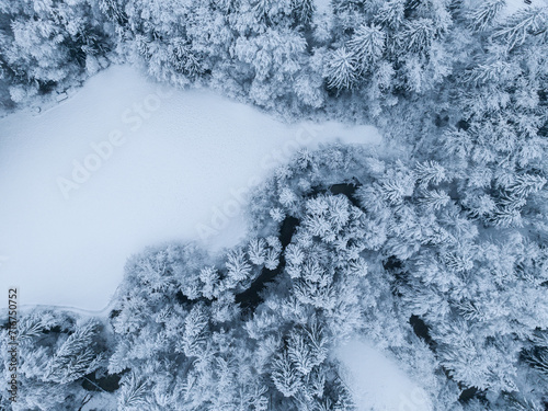 Aerial view of winter landscape with snow covered forest in Switzerland, Europe.