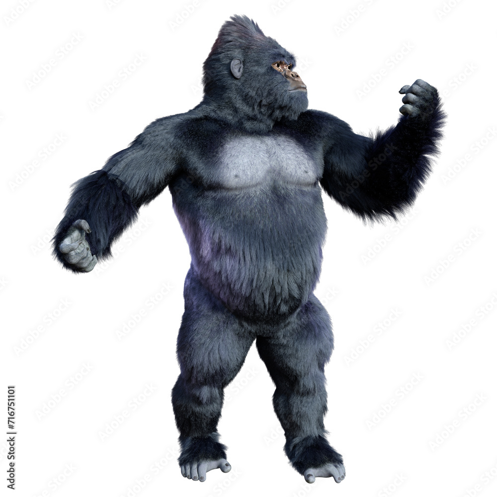 3D Rendering Black Gorilla Ape on White 3D Rendering Black Gorilla Ape on White