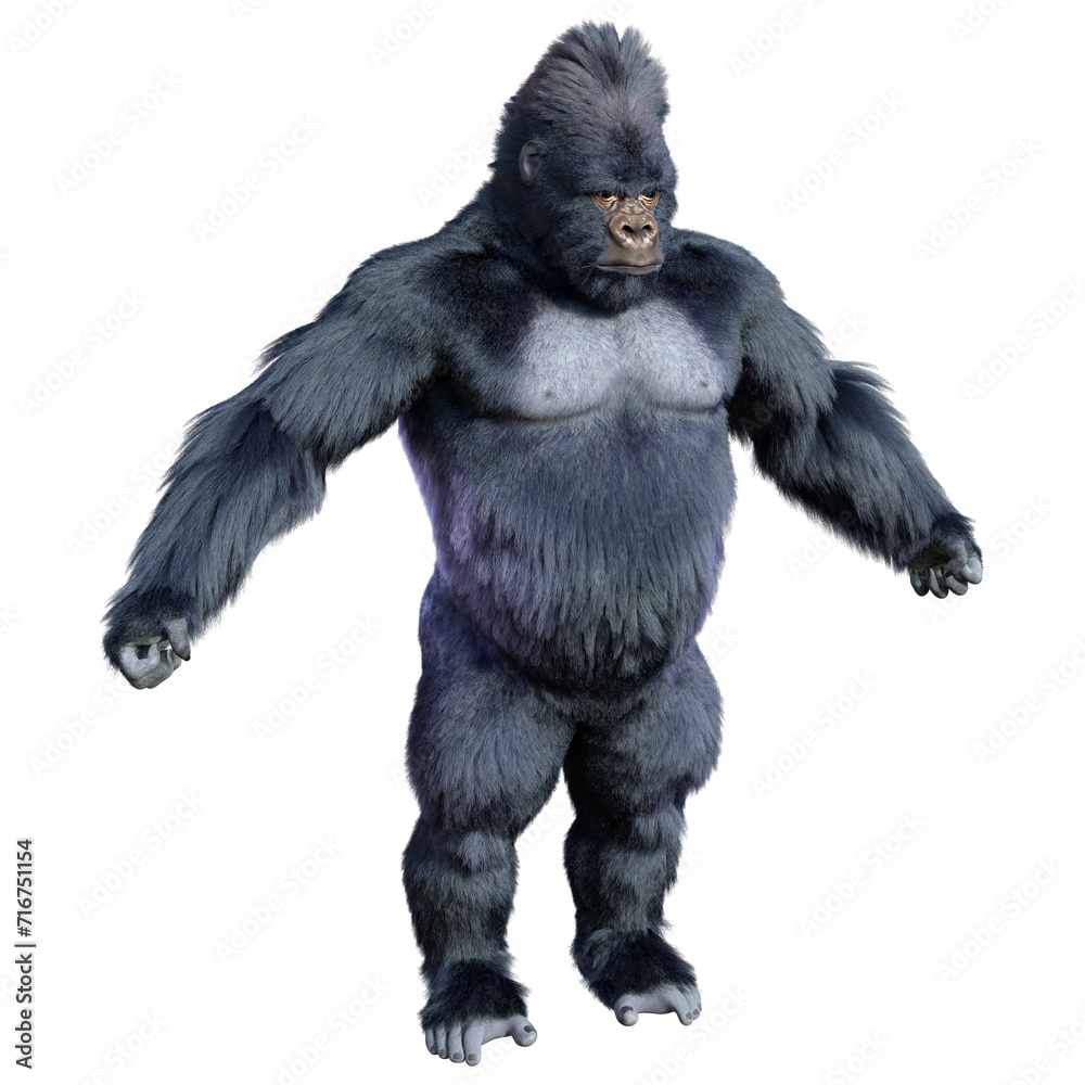 Obraz premium 3D Rendering Black Gorilla Ape on White