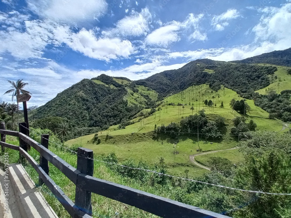 Paisaje Valle del Cocora, Colombia