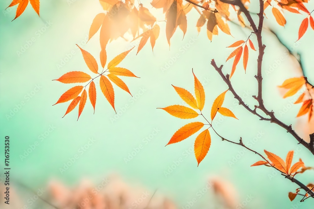 autumn background with leaves autumn background with leaves