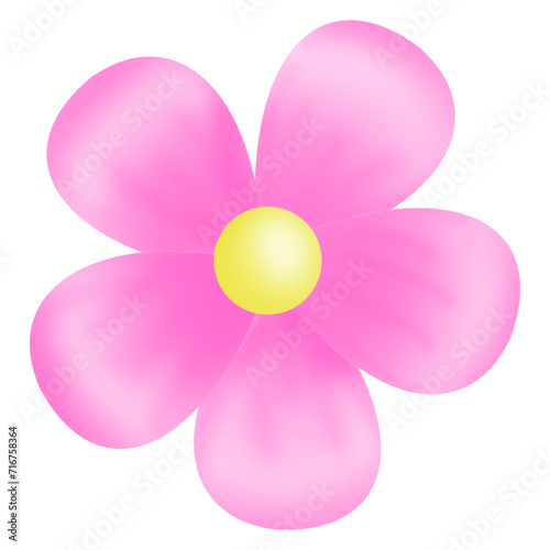 pink flower isolated © Monp
