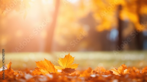 orange autumn maple leaves with soft focus at gold sunset in the forest  autumn background  Generative AI