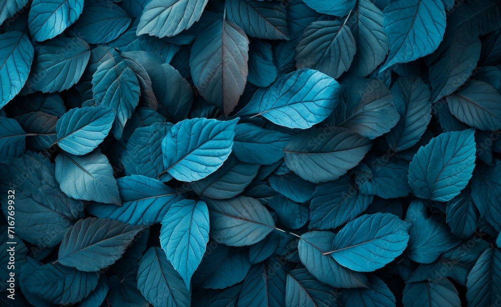 Cool Toned Blue Leaf Texture for Serene Nature-Inspired Background Cool Toned Blue Leaf Texture for Serene Nature-Inspired Background