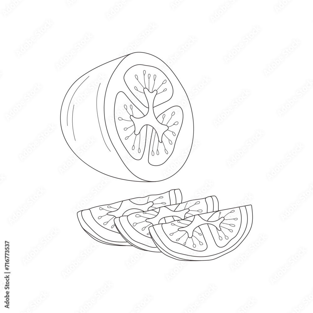 Sliced tomato slices in the style of doodle or line art. Sliced tomato slices in the style of doodle or line art.