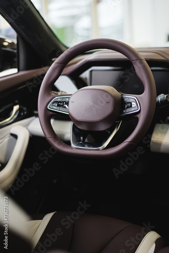 steering wheel and control buttons in a new car © Hanna
