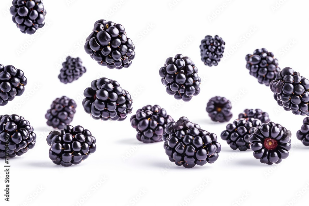 Falling blackberry fruits isolated on white background with clipping path Falling blackberry fruits isolated on white background with clipping path